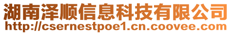 湖南泽顺信息科技有限公司