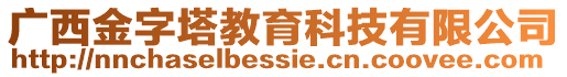 廣西金字塔教育科技有限公司