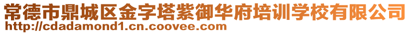 常德市鼎城區(qū)金字塔紫御華府培訓(xùn)學(xué)校有限公司