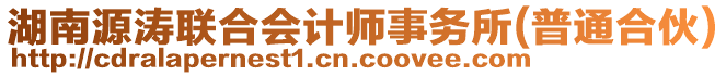 湖南源濤聯(lián)合會計師事務(wù)所(普通合伙)