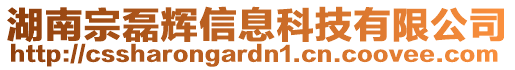 湖南宗磊輝信息科技有限公司