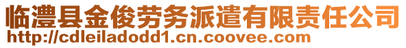 臨澧縣金俊勞務派遣有限責任公司