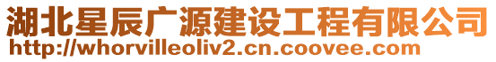 湖北星辰廣源建設工程有限公司