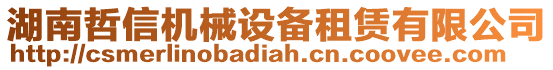 湖南哲信機械設(shè)備租賃有限公司