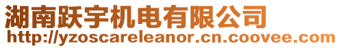 湖南躍宇機電有限公司