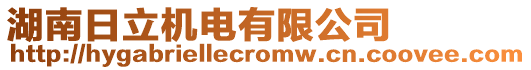 湖南日立機(jī)電有限公司