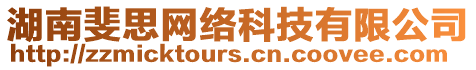 湖南斐思網(wǎng)絡(luò)科技有限公司