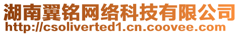 湖南翼銘網(wǎng)絡(luò)科技有限公司