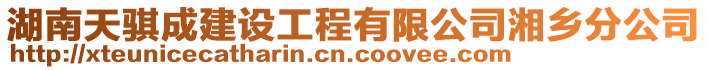 湖南天騏成建設工程有限公司湘鄉(xiāng)分公司