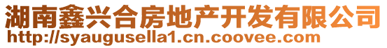 湖南鑫興合房地產(chǎn)開(kāi)發(fā)有限公司