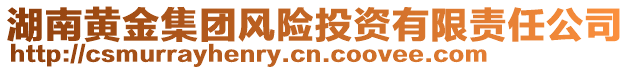 湖南黄金集团风险投资有限责任公司