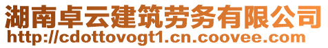 湖南卓云建筑勞務有限公司