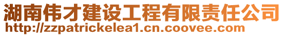 湖南伟才建设工程有限责任公司