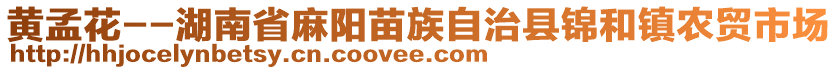 黃孟花--湖南省麻陽苗族自治縣錦和鎮(zhèn)農(nóng)貿(mào)市場