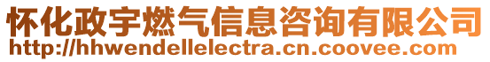 懷化政宇燃氣信息咨詢有限公司