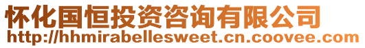 懷化國(guó)恒投資咨詢有限公司