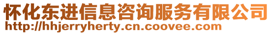 懷化東進(jìn)信息咨詢服務(wù)有限公司