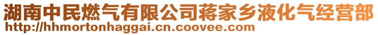 湖南中民燃?xì)庥邢薰臼Y家鄉(xiāng)液化氣經(jīng)營(yíng)部