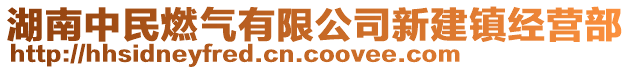 湖南中民燃?xì)庥邢薰拘陆ㄦ?zhèn)經(jīng)營部