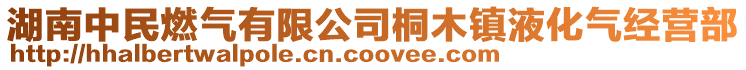 湖南中民燃?xì)庥邢薰就┠炬?zhèn)液化氣經(jīng)營部