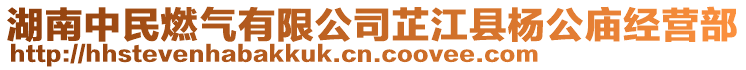 湖南中民燃?xì)庥邢薰拒平h楊公廟經(jīng)營(yíng)部