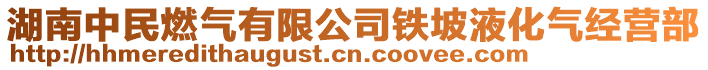 湖南中民燃?xì)庥邢薰捐F坡液化氣經(jīng)營部