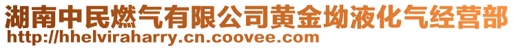 湖南中民燃?xì)庥邢薰军S金坳液化氣經(jīng)營(yíng)部