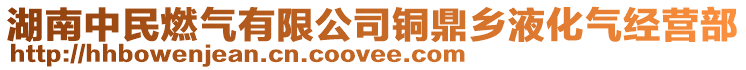 湖南中民燃氣有限公司銅鼎鄉(xiāng)液化氣經(jīng)營部