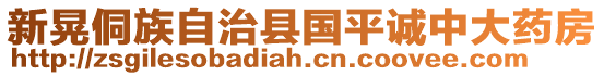 新晃侗族自治縣國平誠中大藥房