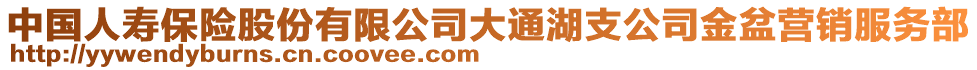 中國(guó)人壽保險(xiǎn)股份有限公司大通湖支公司金盆營(yíng)銷(xiāo)服務(wù)部