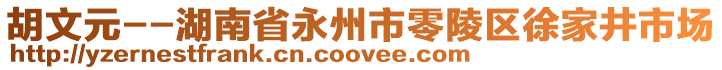 胡文元--湖南省永州市零陵区徐家井市场