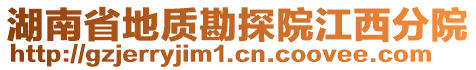 湖南省地質(zhì)勘探院江西分院