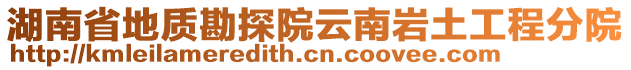 湖南省地質(zhì)勘探院云南巖土工程分院