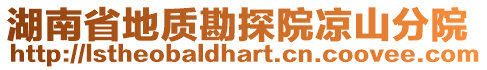 湖南省地質勘探院涼山分院