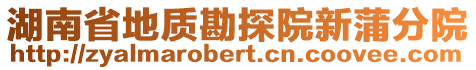 湖南省地質(zhì)勘探院新蒲分院