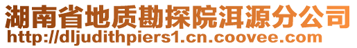 湖南省地質(zhì)勘探院洱源分公司