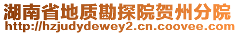 湖南省地質(zhì)勘探院賀州分院