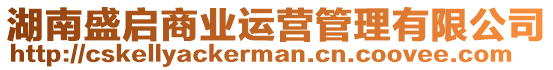 湖南盛啟商業(yè)運(yùn)營(yíng)管理有限公司