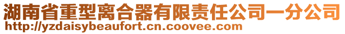 湖南省重型離合器有限責(zé)任公司一分公司