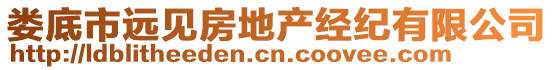 婁底市遠見房地產經紀有限公司