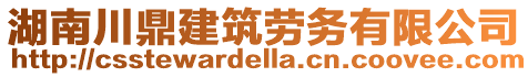 湖南川鼎建筑勞務有限公司