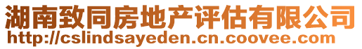 湖南致同房地產(chǎn)評(píng)估有限公司