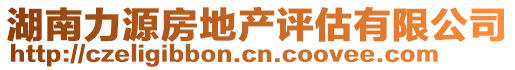 湖南力源房地產評估有限公司