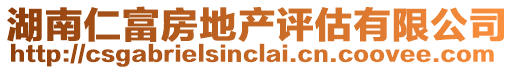 湖南仁富房地產(chǎn)評(píng)估有限公司