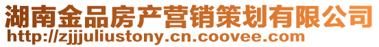 湖南金品房產(chǎn)營銷策劃有限公司