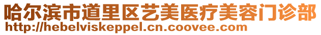 哈爾濱市道里區(qū)藝美醫(yī)療美容門診部