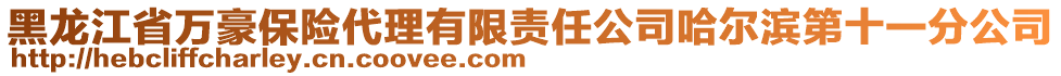 黑龍江省萬豪保險(xiǎn)代理有限責(zé)任公司哈爾濱第十一分公司