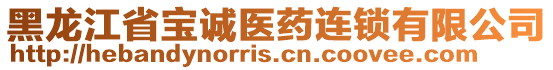 黑龍江省寶誠醫(yī)藥連鎖有限公司