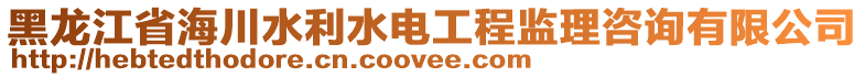 黑龍江省海川水利水電工程監理咨詢有限公司