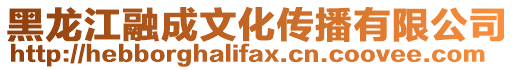 黑龍江融成文化傳播有限公司